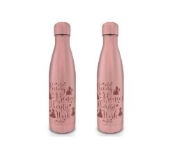 Botella Princesas Disney